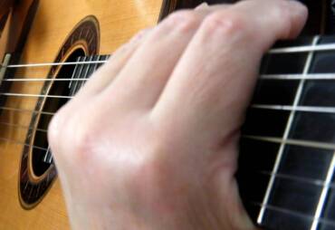 Estude sempre por secções