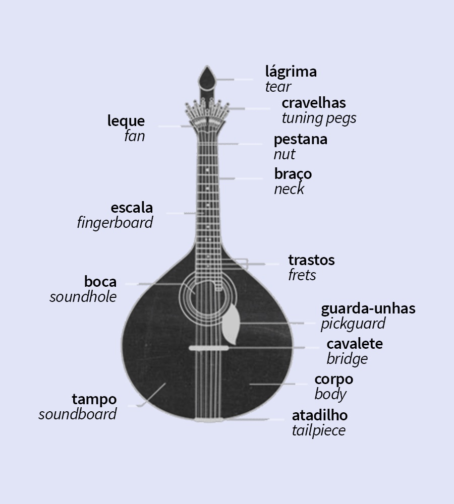 guitarra-portuguesa-elementos